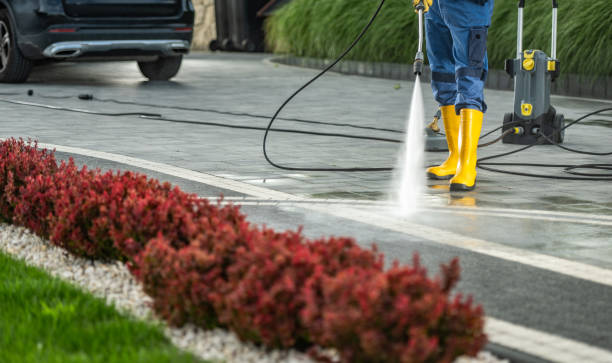 Best Fence Pressure Washing  in Lton, IN