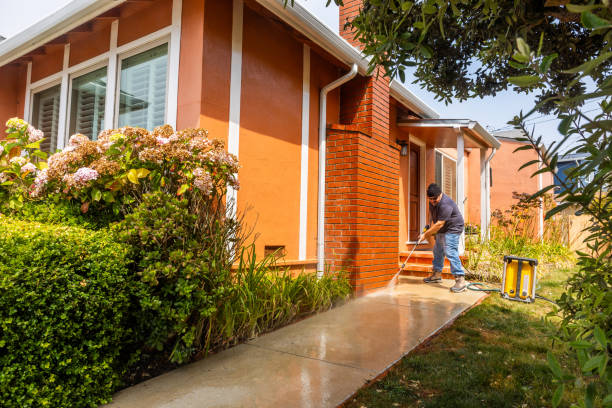 Best Pressure Washing Patio  in Lton, IN