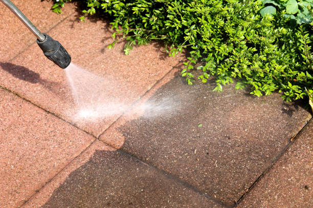 Best Residential Pressure Washing Services  in Lton, IN