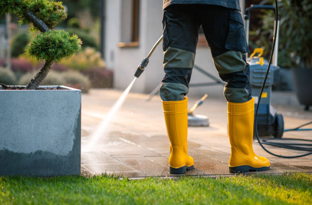 Best Affordable Pressure Washing  in Lton, IN